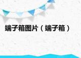 端子箱图片（端子箱）