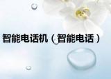 智能电话机（智能电话）