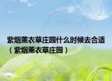 紫烟薰衣草庄园什么时候去合适（紫烟薰衣草庄园）