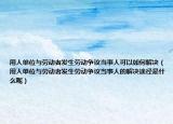 用人单位与劳动者发生劳动争议当事人可以如何解决（用人单位与劳动者发生劳动争议当事人的解决途径是什么呢）