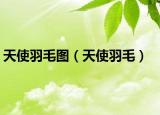 天使羽毛图（天使羽毛）