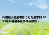 叫兽易小星的电影（万万没想到 2013年叫兽易小星执导迷你剧）