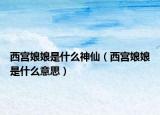 西宫娘娘是什么神仙（西宫娘娘是什么意思）