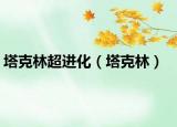 塔克林超进化（塔克林）