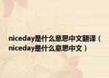 niceday是什么意思中文翻译（niceday是什么意思中文）