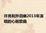 许亮和孙羽幽2013年演唱的心酸歌曲