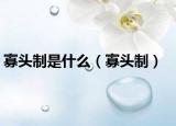 寡头制是什么（寡头制）
