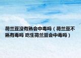 荷兰豆没有熟会中毒吗（荷兰豆不熟有毒吗 吃生荷兰豆会中毒吗）