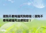 遛狗不牵绳撞死狗赔偿（遛狗不牵绳被撞死法律规定）