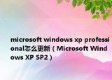 microsoft windows xp professional怎么更新（Microsoft Windows XP SP2）