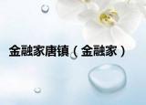 金融家唐镇（金融家）