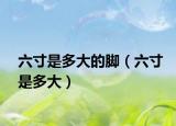 六寸是多大的脚（六寸是多大）