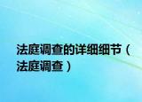 法庭调查的详细细节（法庭调查）