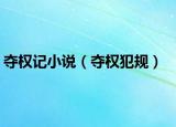 夺权记小说（夺权犯规）