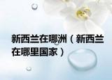 新西兰在哪洲（新西兰在哪里国家）