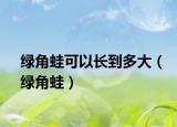 绿角蛙可以长到多大（绿角蛙）