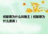 何猷君为什么叫赌王（何猷君为什么退赛）