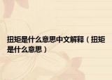 扭矩是什么意思中文解释（扭矩是什么意思）
