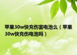 苹果30w快充伤害电池么（苹果30w快充伤电池吗）