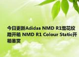 今日更新Adidas NMD R1雪花纹路开箱 NMD R1 Colour Static开箱鉴赏