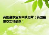 英国皇家空军中队照片（英国皇家空军特勤队）