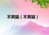 不爽猫（不爽猫）