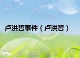 卢洪哲事件（卢洪哲）