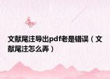 文献尾注导出pdf老是错误（文献尾注怎么弄）