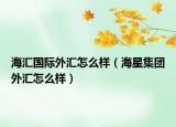 海汇国际外汇怎么样（海星集团外汇怎么样）