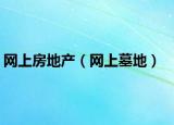 网上房地产（网上墓地）