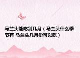 马兰头能吃到几月（马兰头什么季节有 马兰头几月份可以吃）