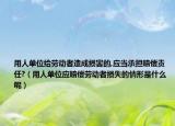 用人单位给劳动者造成损害的,应当承担赔偿责任?（用人单位应赔偿劳动者损失的情形是什么呢）