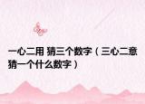 一心二用 猜三个数字（三心二意猜一个什么数字）