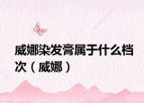 威娜染发膏属于什么档次（威娜）