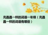 亮晶晶一样的词语一年级（亮晶晶一样的词语有哪些）