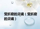 受折磨的灵魂（受折磨的灵魂）