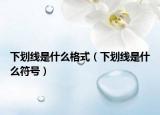下划线是什么格式（下划线是什么符号）