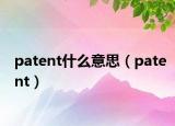 patent什么意思（patent）
