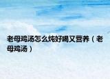 老母鸡汤怎么炖好喝又营养（老母鸡汤）