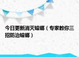 今日更新消灭蟑螂（专家教你三招防治蟑螂）