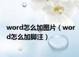 word怎么加图片（word怎么加脚注）