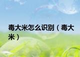 毒大米怎么识别（毒大米）