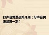 好声音黄渤是第几期（好声音黄渤是哪一期）