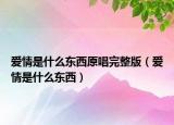 爱情是什么东西原唱完整版（爱情是什么东西）