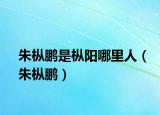 朱枞鹏是枞阳哪里人（朱枞鹏）