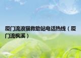 厦门流浪猫救助站电话热线（厦门流枫溪）