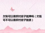 欠账可以用农村房子抵押吗（欠钱可不可以用农村房子抵债）