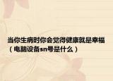 当你生病时你会觉得健康就是幸福（电脑设备sn号是什么）