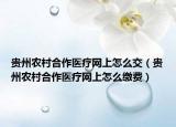 贵州农村合作医疗网上怎么交（贵州农村合作医疗网上怎么缴费）