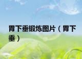 胃下垂锻炼图片（胃下垂）